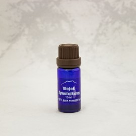 Thuja olaj 100% - 10 ml