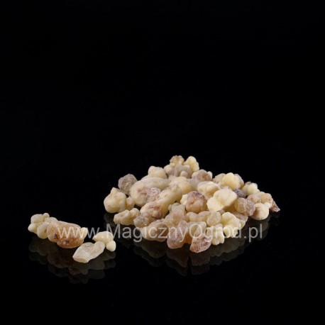 Olibanum Oman - Boswellia sacra - 50g