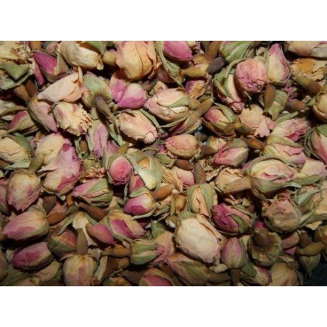 Rózsavirág - Rosa damascena - 50g rügyek