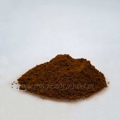 Chaga - Inonotus obliquus - 100 g apróra vágva