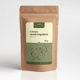 Cissus quadrangularis kivonat 4:1 - 50g