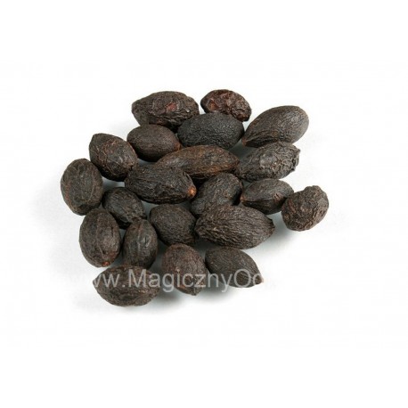 Saw Palmetto kivonat 45% - Serenoa repens - 25g