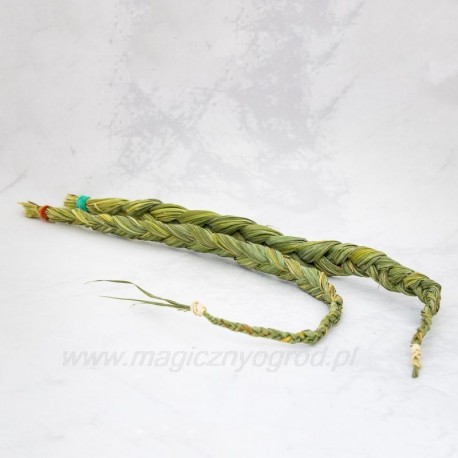 Sweetgrass - Hierochlore odorata - kis fonat