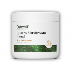 Quatro gombakeverék 100g