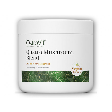 Quatro gombakeverék 100g