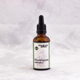 Houttuynia cordata tinktúra 1:1 50 ml - 50 ml